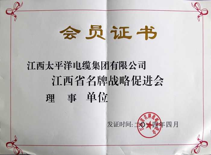 江西省戰略促進會理事單位