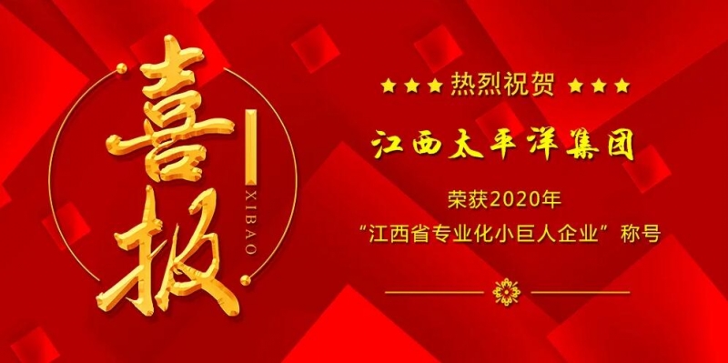 江西太平洋集團被認定為“2020年江西省專業化小巨人企業”